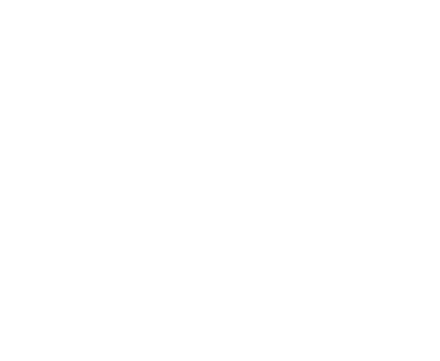 Stemax Boarding